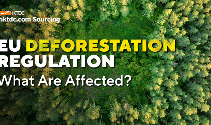 Deforestation-Free Products: An EU Regulatory Update