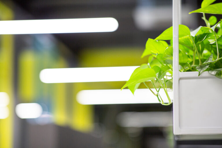 Eco lights embrace sustainability in simplicity.